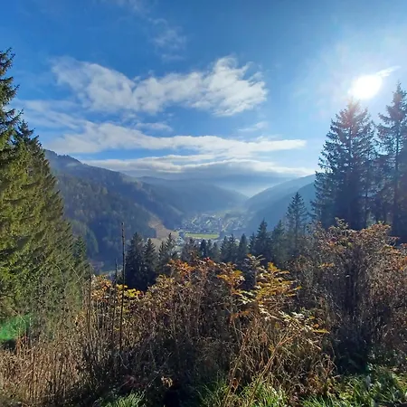 Διαμέρισμα Bergmann Veitsch *