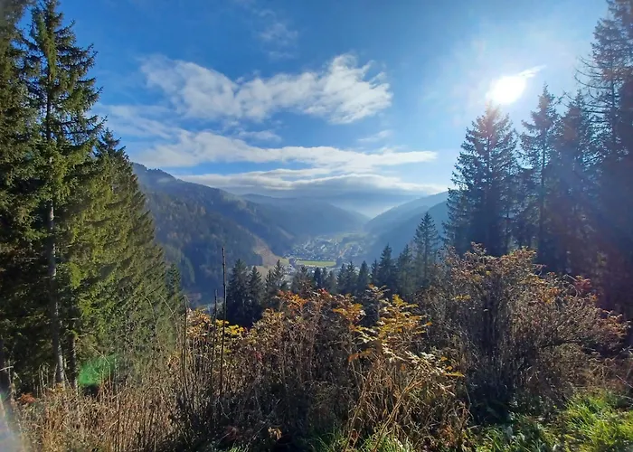 Διαμέρισμα Bergmann Veitsch *